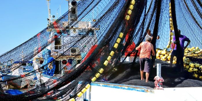 A Huge Source of Carbon That Goes Unaccounted For