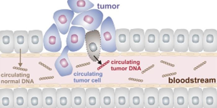 ctDNA shows promise as non-invasive cancer biomarker