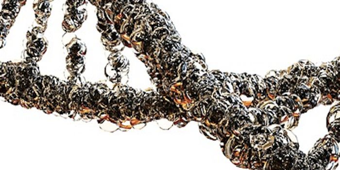 Investigating the Origins of Life