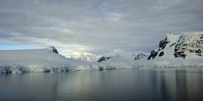 What is Turning Antarctica's Snow Red?