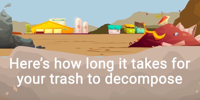 Here's How Long it Takes Your Garbage to Decompose