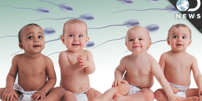 What you don't know about sperm banks