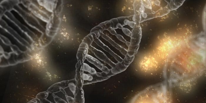 Researchers Create an Epigenetic Map of Development