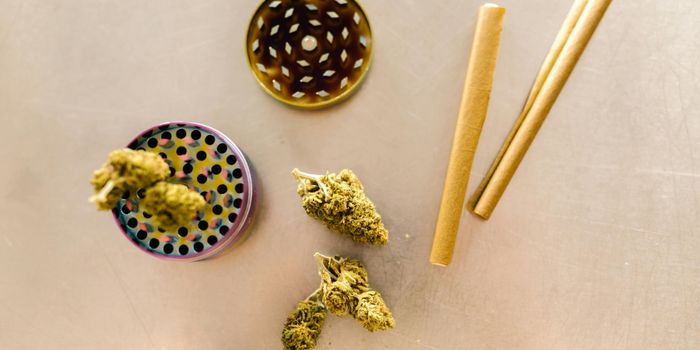 Study Examines Effects of Various Modes of Cannabis Consumption on Plasma THC Concentrations