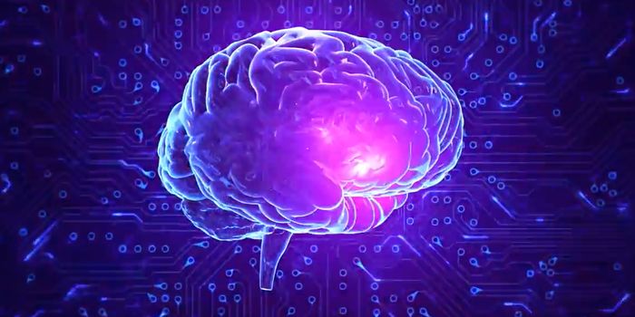 A Major Grant Aims to Improve our Understanding of Age-related Cognitive Decline