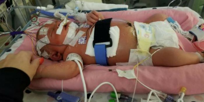 Diagnosed: Baby Dies of Meningitis Contracted from a Kiss