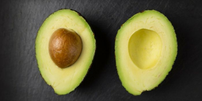 Chemists Find Big Medicinal Potential in Avocado Seed Husks