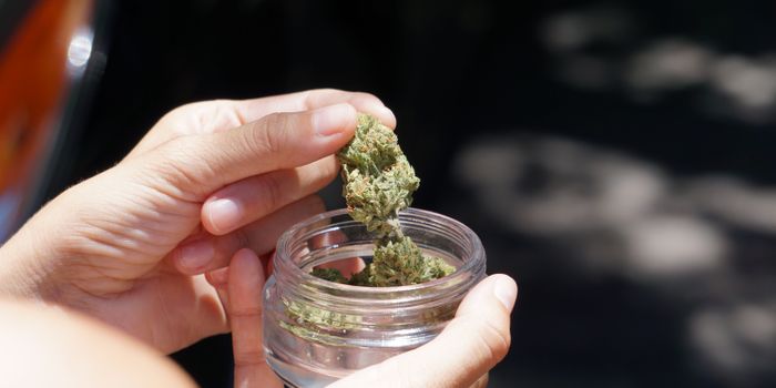 Medical Cannabis Linked to Lower Opioid Use for Pain