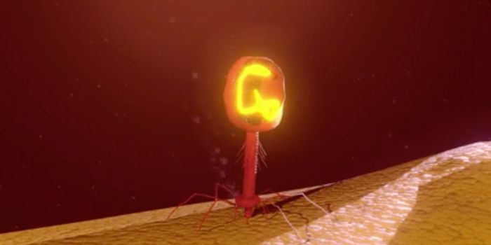 A Virus That can Help Ensure Water is Clean