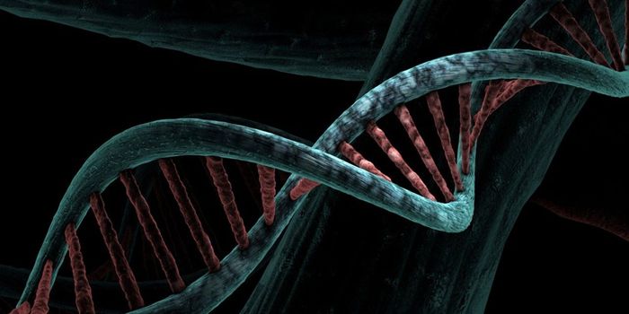 Genetic Cause Disovered for Obesity and Postnatal Depression