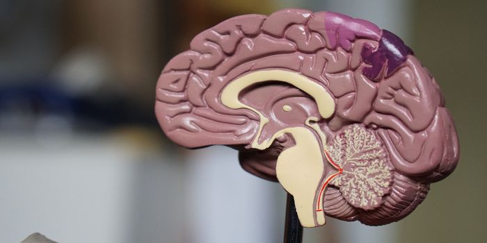 Cannabis Drug Sativex to Be Tested in Phase II Brain Tumor Trial