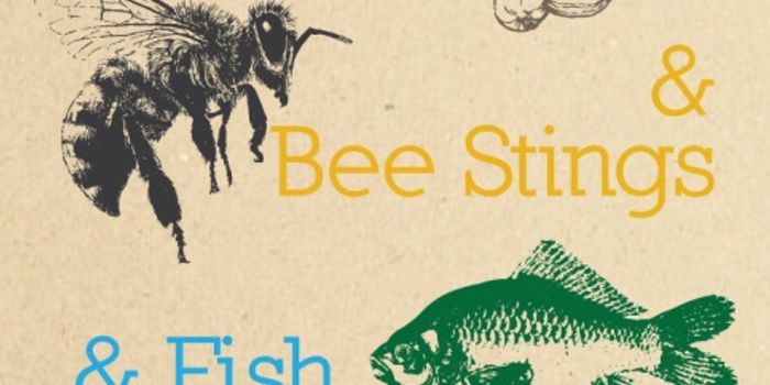 How and Why We Have Allergic Reactions