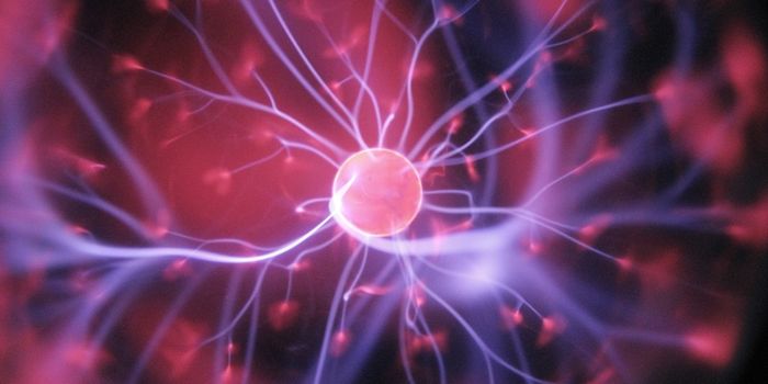 Lab-grown mini brains make humanlike 'brain waves'