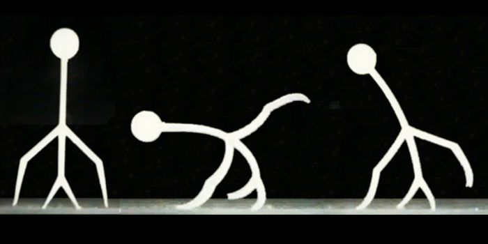 A 3D-Printed Mini-robot That Walks, Changes Shape, and Moves Objects