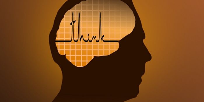 Finding the Pain Frequency in the Brain