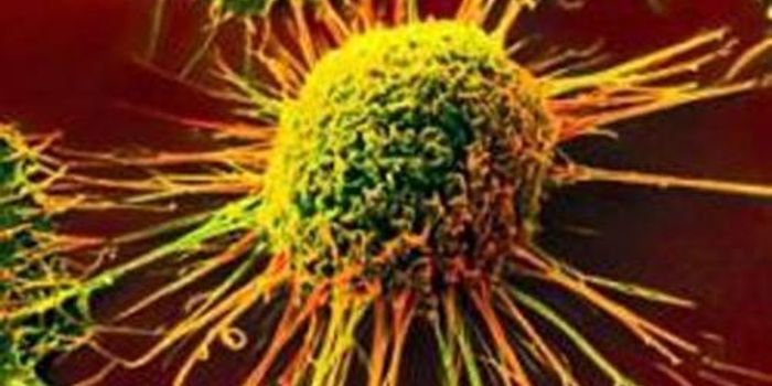 Immunotherapy is Not a Curiosity Anymore