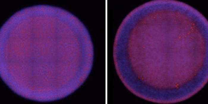 Mathematical Models Reliably Predict Microbial Behavior