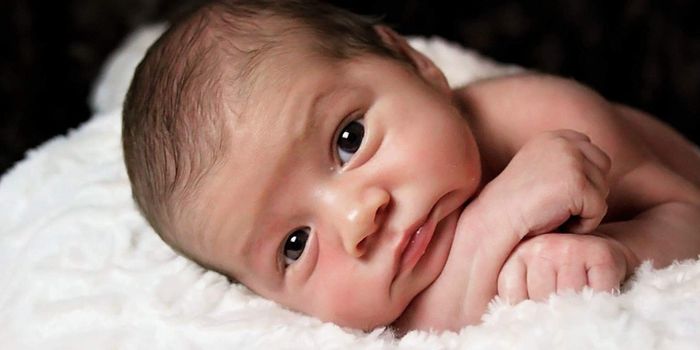 The Fallout From the First CRISPR Babies Continues