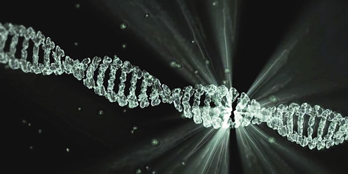 Genetics May Help Us Learn Who is at Risk From a Folate Deficiency