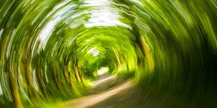 Marijuana-Induced Cyclic Vomiting