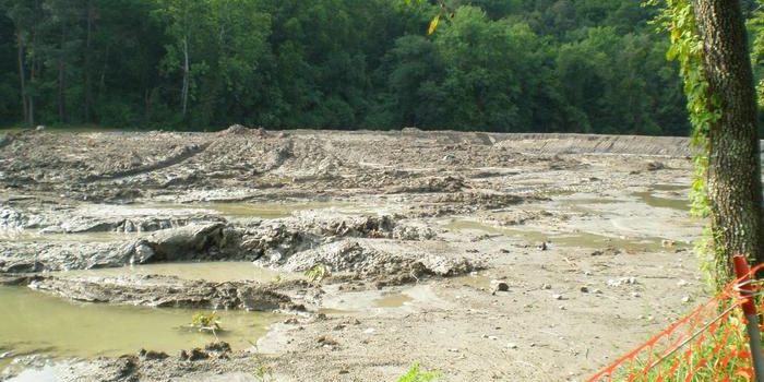 Coal Ash Toxicity Begins at Nanoscale Levels