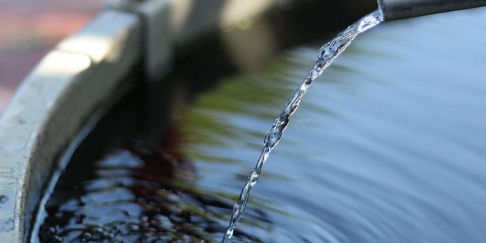 Serious Cholera Outbreaks in Africa in 2025