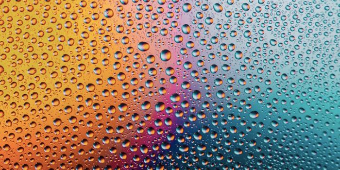 A Roving Band of T Cells Rewrites the Rules of Immunity