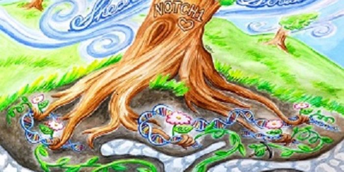 Thwarting Heart Cells From Morphing Into Bone