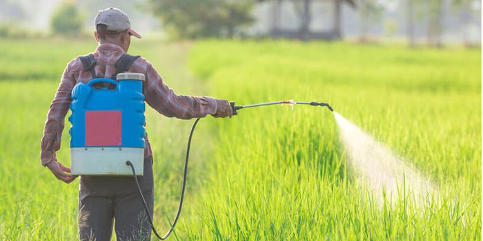 Does Roundup cause cancer?