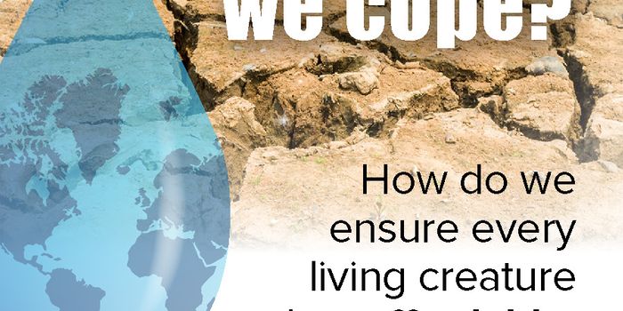 The All-too-real Water Shortage