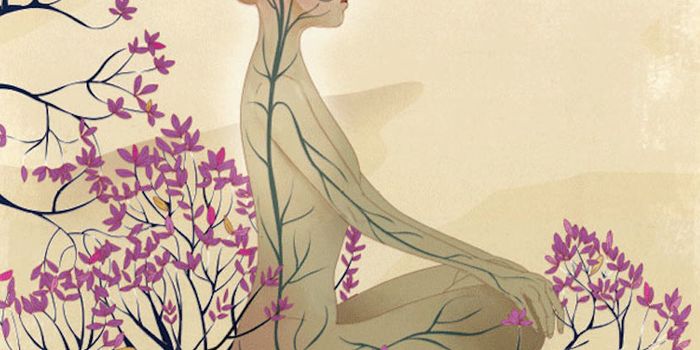 Stress-Reduction Technique May Limit Migraines, Alzheimer's