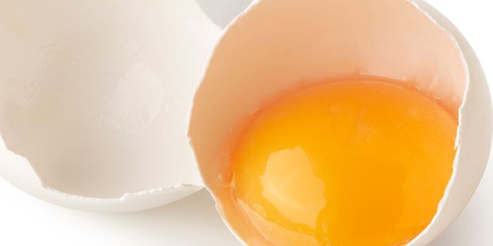 Fact vs. Fiction: Are eggs really bad for our hearts?