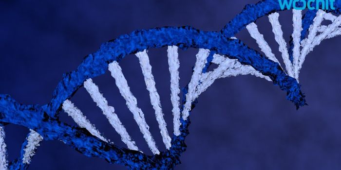 Mitochondria From Mom