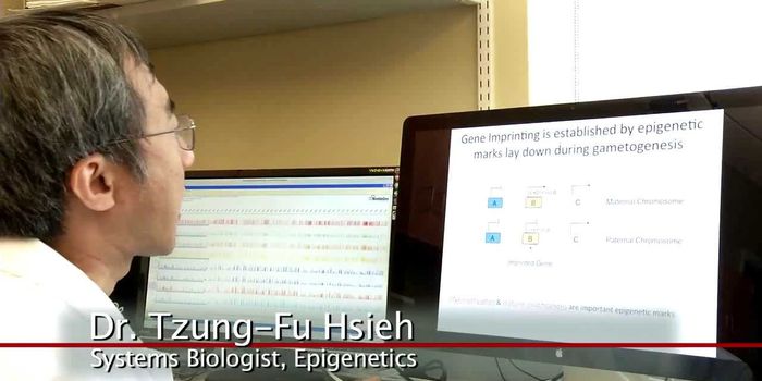 Studying Plant Epigenetics to Make Food Crops Better