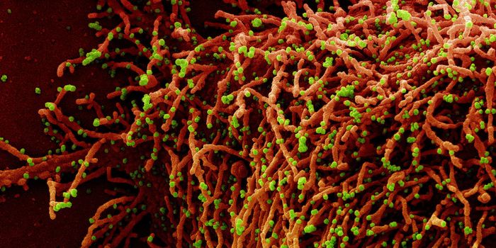 Real-World, Post-Delta COVID-19 Vaccine Data & Potential Treatment