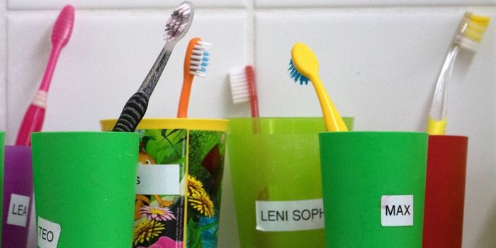 Alzheimer's Linked to a Gum Disease-associated Bacterium