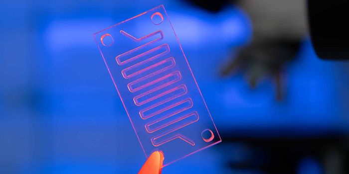 Scaling Down to Go Big: An Overview of the Lab-on-a-Chip