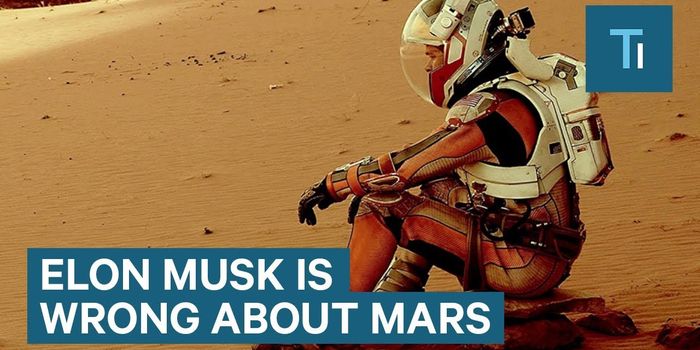 Is Colonizing Mars Actually a Good Idea?