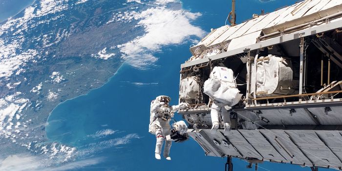 Novel Bacteria Discovered on Space Station