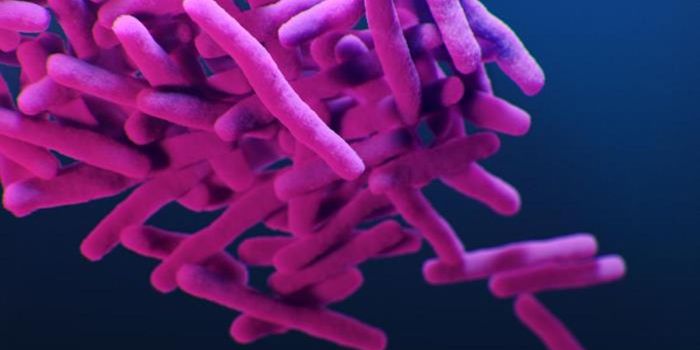 Small Genetic Differences in TB Lead to Very Different Illnesses