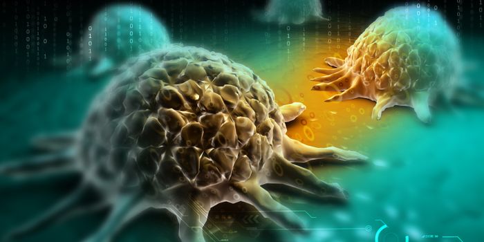 Scripps Florida Scientists Discover New Natural Source of Potent Anti-Cancer Drugs