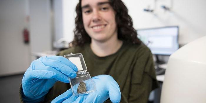Meteorite Study Reveals Hidden Risks in Sample Preparation