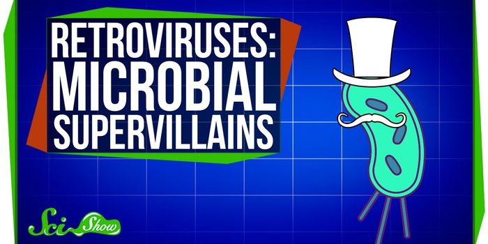 Retroviruses - Small but Powerful