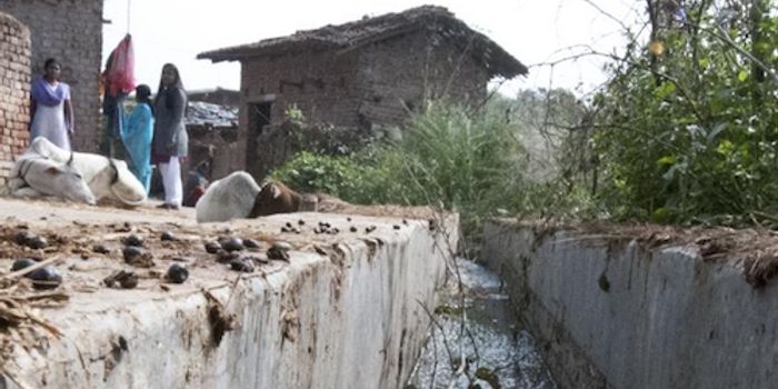 Finding a Way to End a Persistent Cholera Epidemic