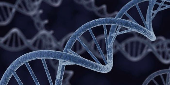 Are Pseudogenes Really Just "Junk Genes"?