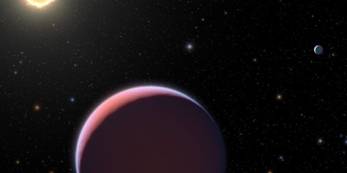 Exploring WASP-193 b: A Cotton Candy-like Exoplanet