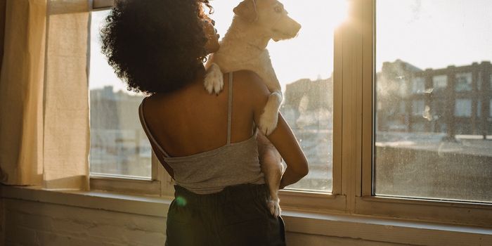 Using Quantum Computing to Create Window Coverings that Block Heat, Save Energy