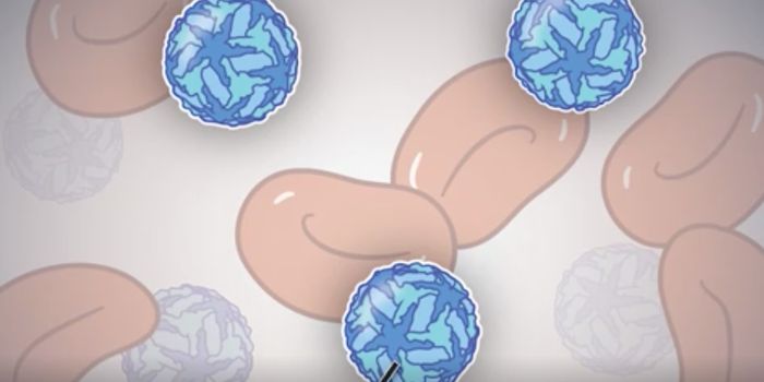 Monitoring Blood Donations for Zika Virus