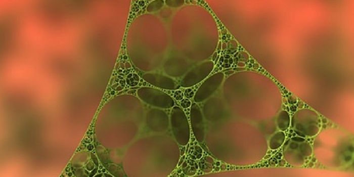 Nanofibers Make Their Way Through the Brain