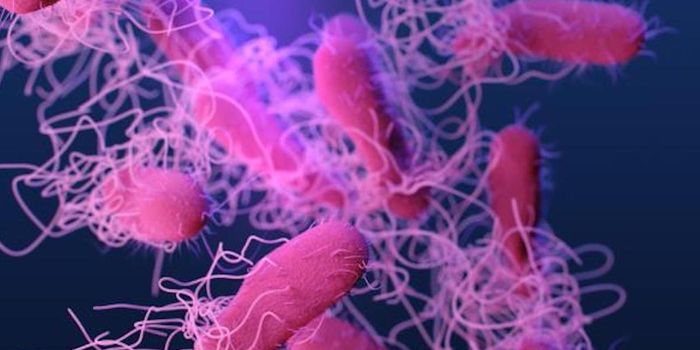 Ongoing Salmonella Outbreak Rapidly Spreads to 23 States